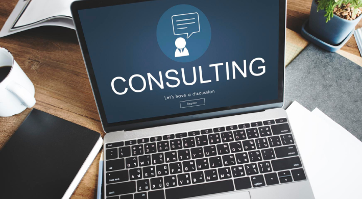 Consulting Services